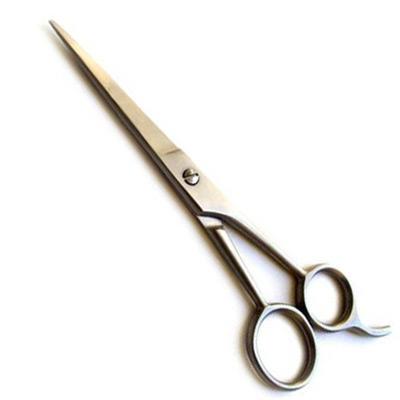 Hair Scissors