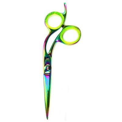 Rainbow Titanium Shears 