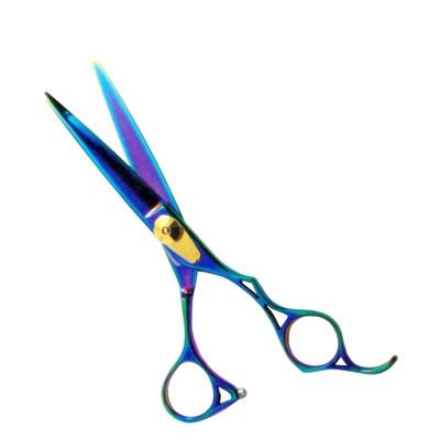 Rainbow Titanium Shears