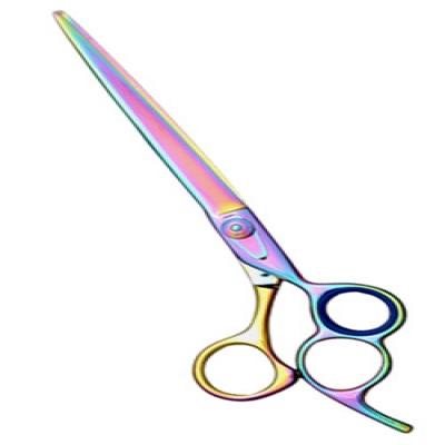 Rainbow Titanium Shears 